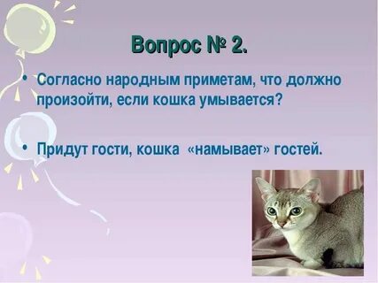 Почему не приходит cats