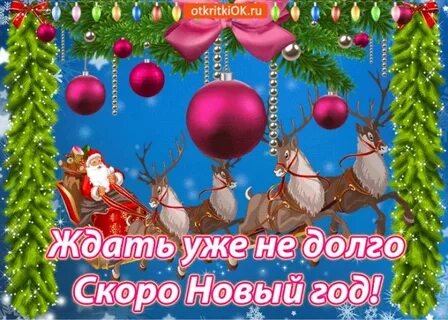 Мы ждем новый год