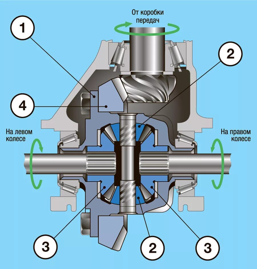 Строение дифференциала. Дифференциал автомобиля. Дифференциал в разрезе. Из чего состоит дифференциал. Устройство и работа дифференциала