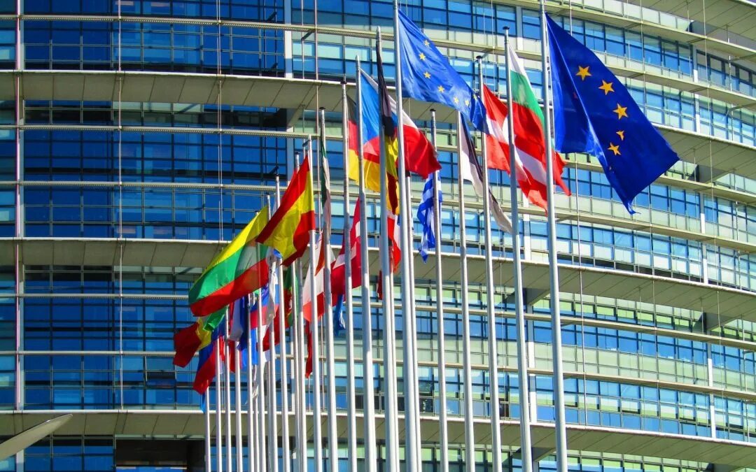 Действия международных договоров совета европы. Парламент совета европы. страсбург совет европы. парламентская ассамблея совета европы флаг. парламентская ассамблея совета европы здание.