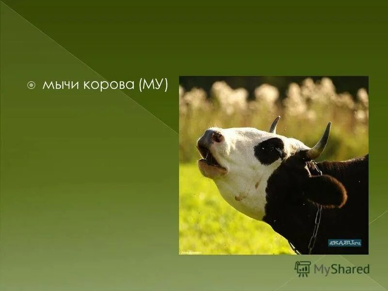 Почему ребенок мычит. Почему ребенок мычит