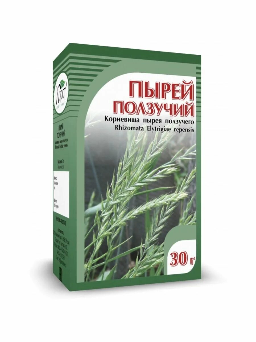 Пырей ползучий корневища 30г. Пырей ползучий долголетие. Пырей ползучий корень. Корневище пырея.