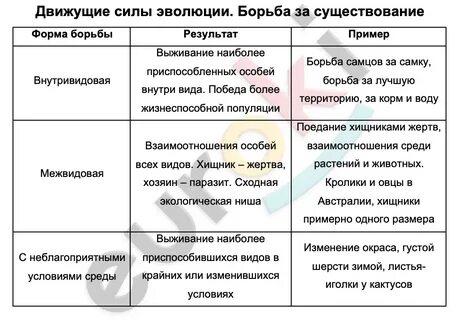 Борьба за существование движущая сила эволюции