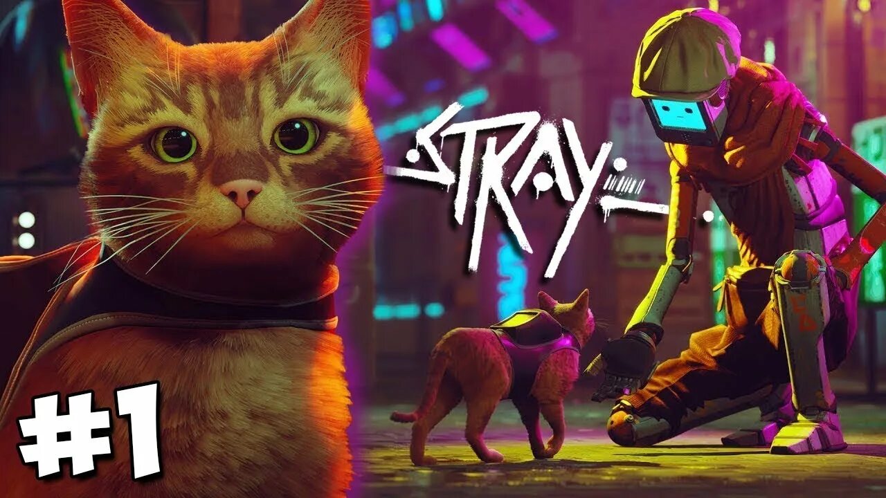 Кот и роботы игра. СТРЕЙ котик игра. Зурки Stray. Игра про кота 2022 Stray. Игра про кота в киберпанке.