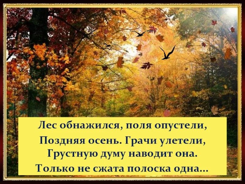 Предложения поздней осенью в лесу. Стихи про позднюю осень. Поздняя осень Грачи улетели лес обнажился. Лес обнажился,поля опустели поздняя осень. Стих поздняя осень Грачи улетели лес обнажился поля опустели.