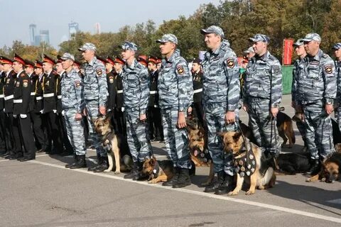 Цкс г орска