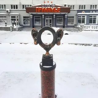 Пермь уши