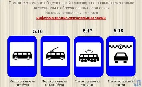 Виды транспорта правила дорожного движения