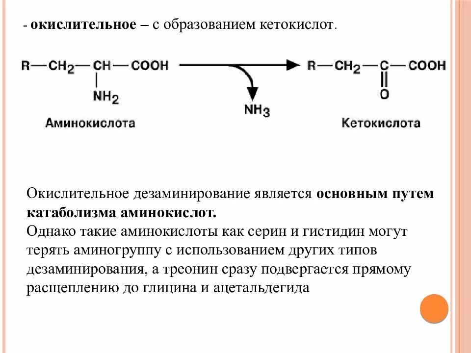 Кетокислоты аминокислот