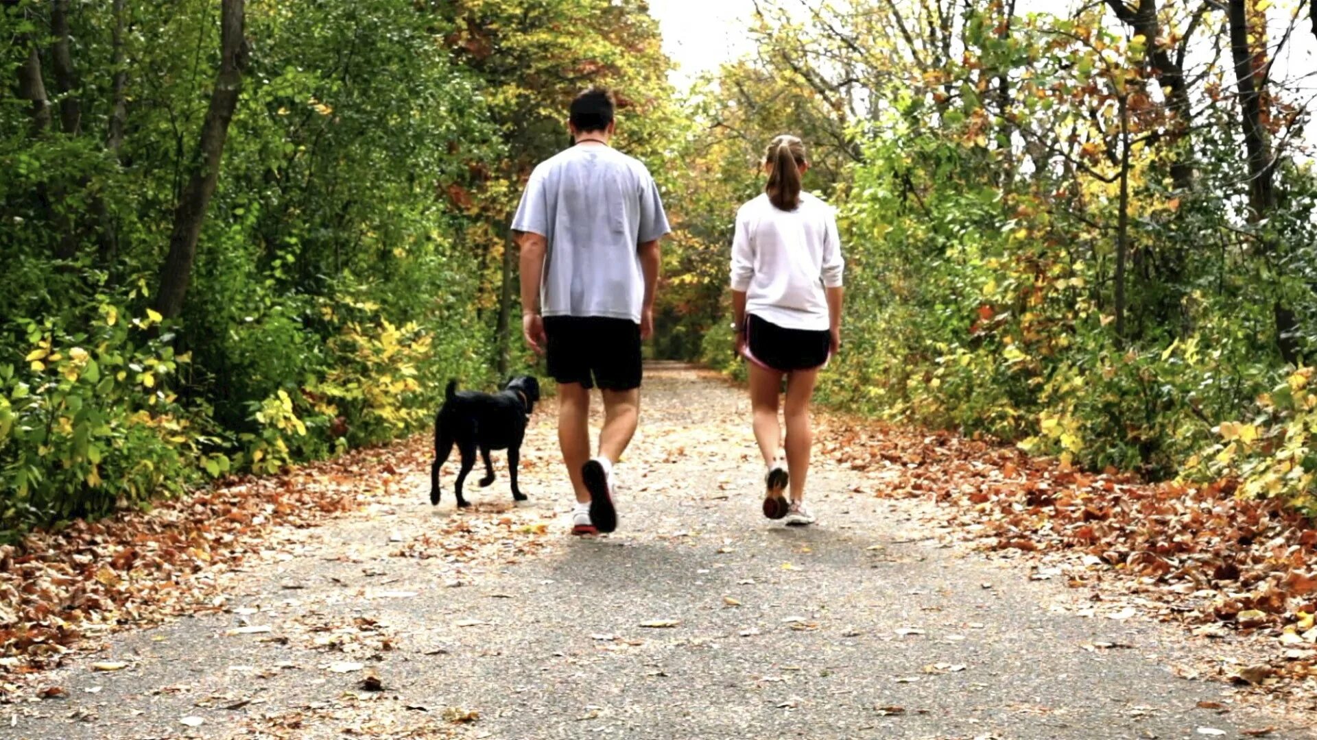 Like taking a walk. Take a walk in the Park. A Day in the Park. To go for a walk. Walking Day in the Park.