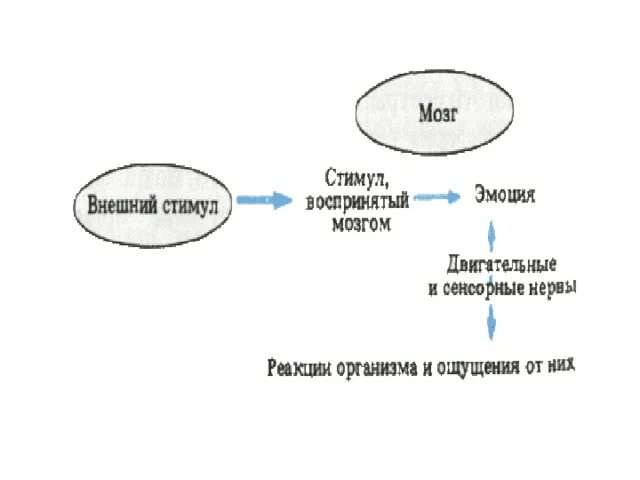 Теории эмоций ланге. Теория Кэннона барда. Теория эмоций Кэннона-барда. Теория эмоций Кеннона барда схема. Эмоции: теория эмоций Джеймса-Ланге, Кеннона-барда.