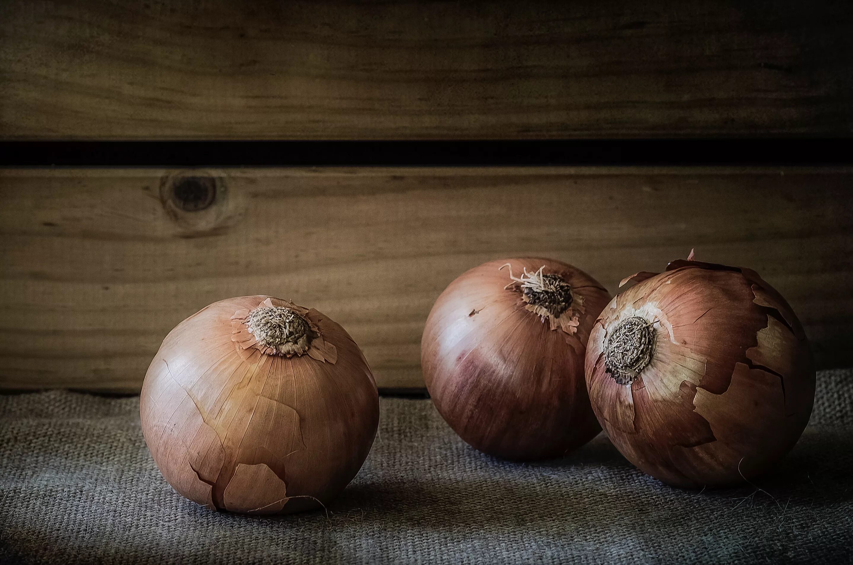 Onion vegetables. Лук репчатый. Лук овощ. Репчатый лук на столе. Луковые овощи.