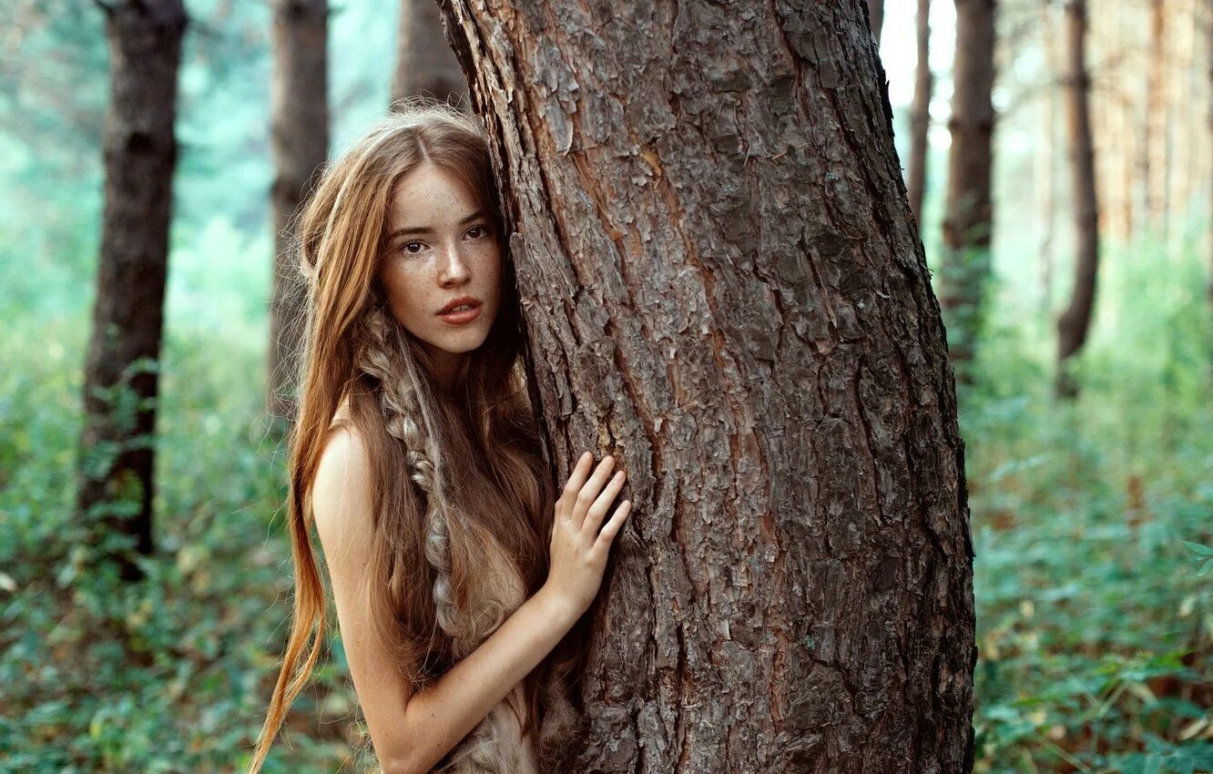 Гильермо мартинес. Девушка дерево. Сидит на дереве. Женщина дерево. Девичье дерево.