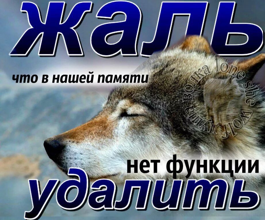 Жаль в эту пору прекрасную. Как жаль что память. как жаль. как жаль что память не убить картинки. как жаль что память не убить она одна нам жизнь.
