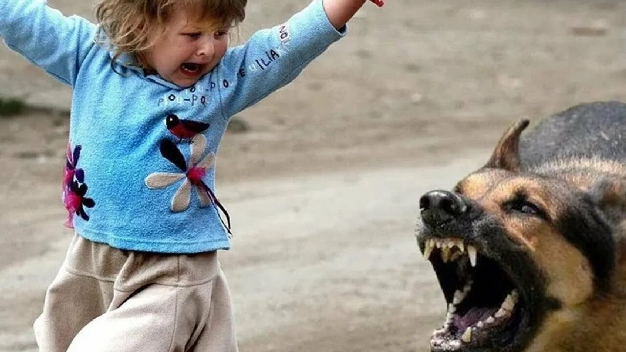 На маленькую девочку нападают