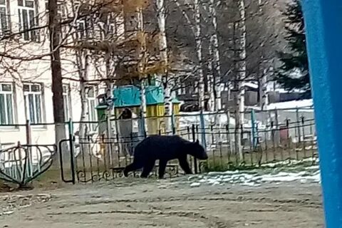 Погода златоустовск