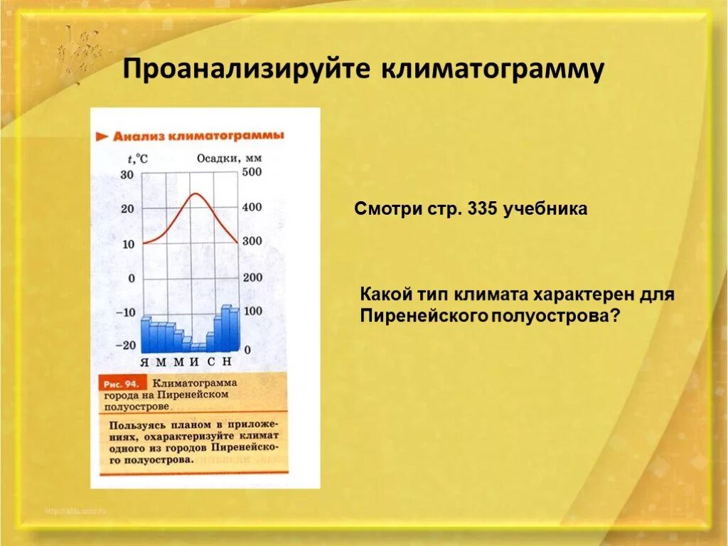 Какой тип климата характерен для