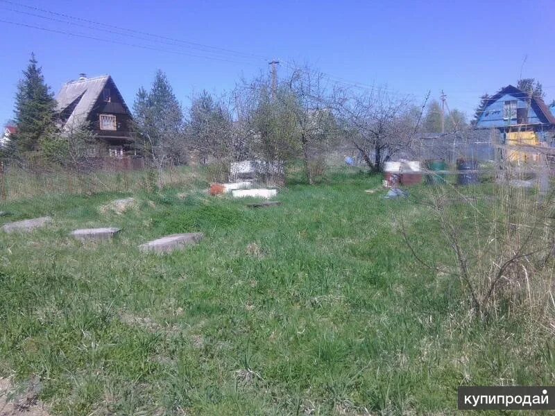 Трубников бор участки. Снт трубников бор. Трубников бор. Снт зодчий. Трубников бор снт боровое.