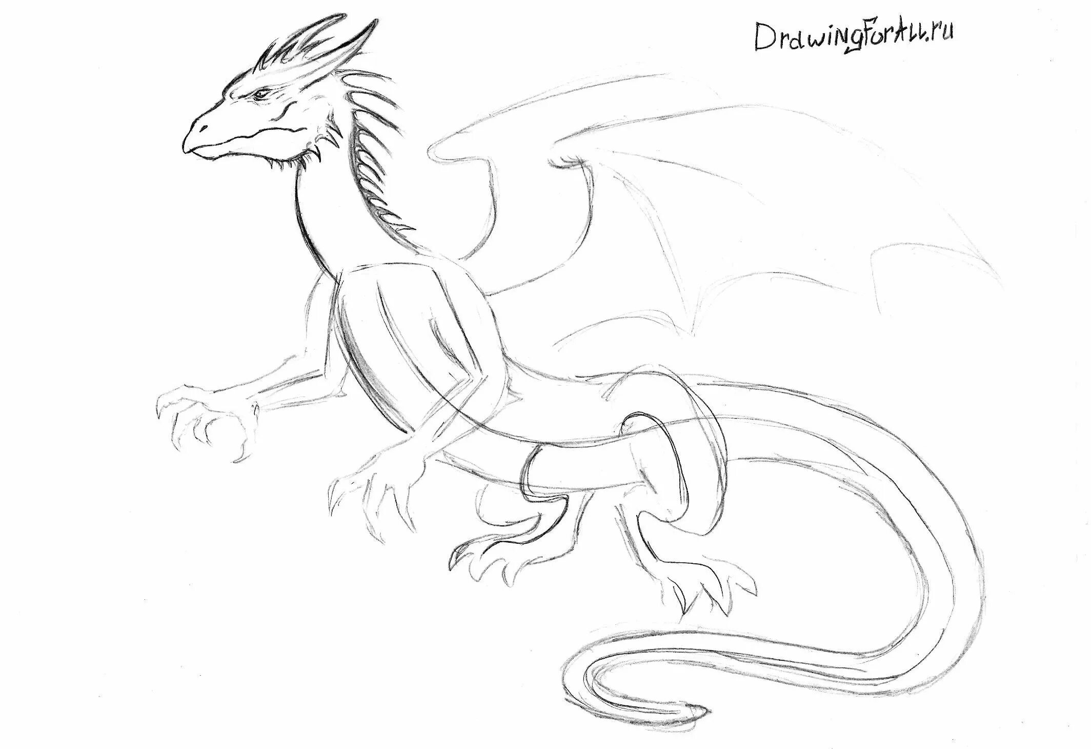 Легкий дракон поэтапно. Поэтапное рисование дракона. Дракон рисунок. Рисунки драконов карандашом. Дракон рисунок карандашом.