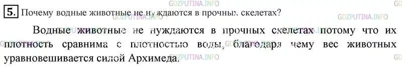 Почему водные животные нуждаются в прочных скелетах. Почему водные животные не нуждаются в прочных скелетах физика 7 класс. Почему водные животные не нуждаются в прочных. Физика 7 класс параграф 52. Физика 7 класс параграф 44 кратко