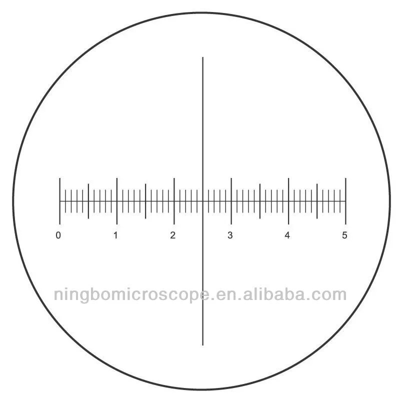 Линейка для микроскопа. Окуляр-микрометр со шкалой для микроскопа. Окуляр микрометр 24/10-100. Шкала для юстировки микроскопа. Шкала окулярного микрометра.
