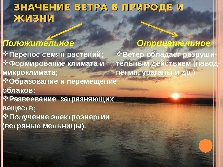 Ветер в жизни человека. Значение ветра для растений. Значение ветра в жизни растений. Положительное влияние ветра на растения. Положительное значение ветра.