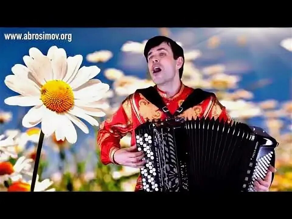 Гармонь картина. Марион француженка баянистка. Ромашка белая лепесточки нежные под гармонь. Цыган на баяне. Старики поют.
