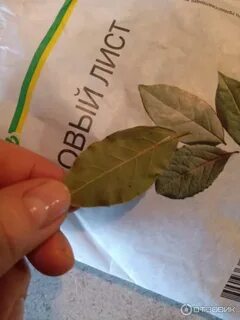 Люблю лавровый лист