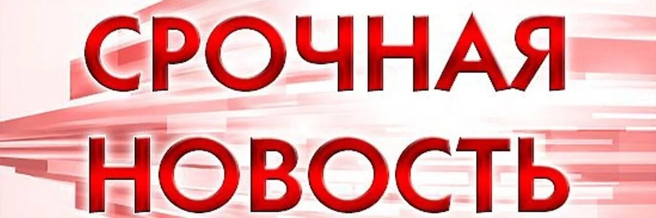 Срочно читать