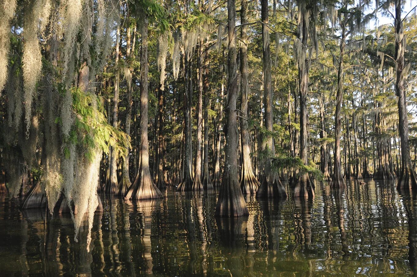 Луизиана