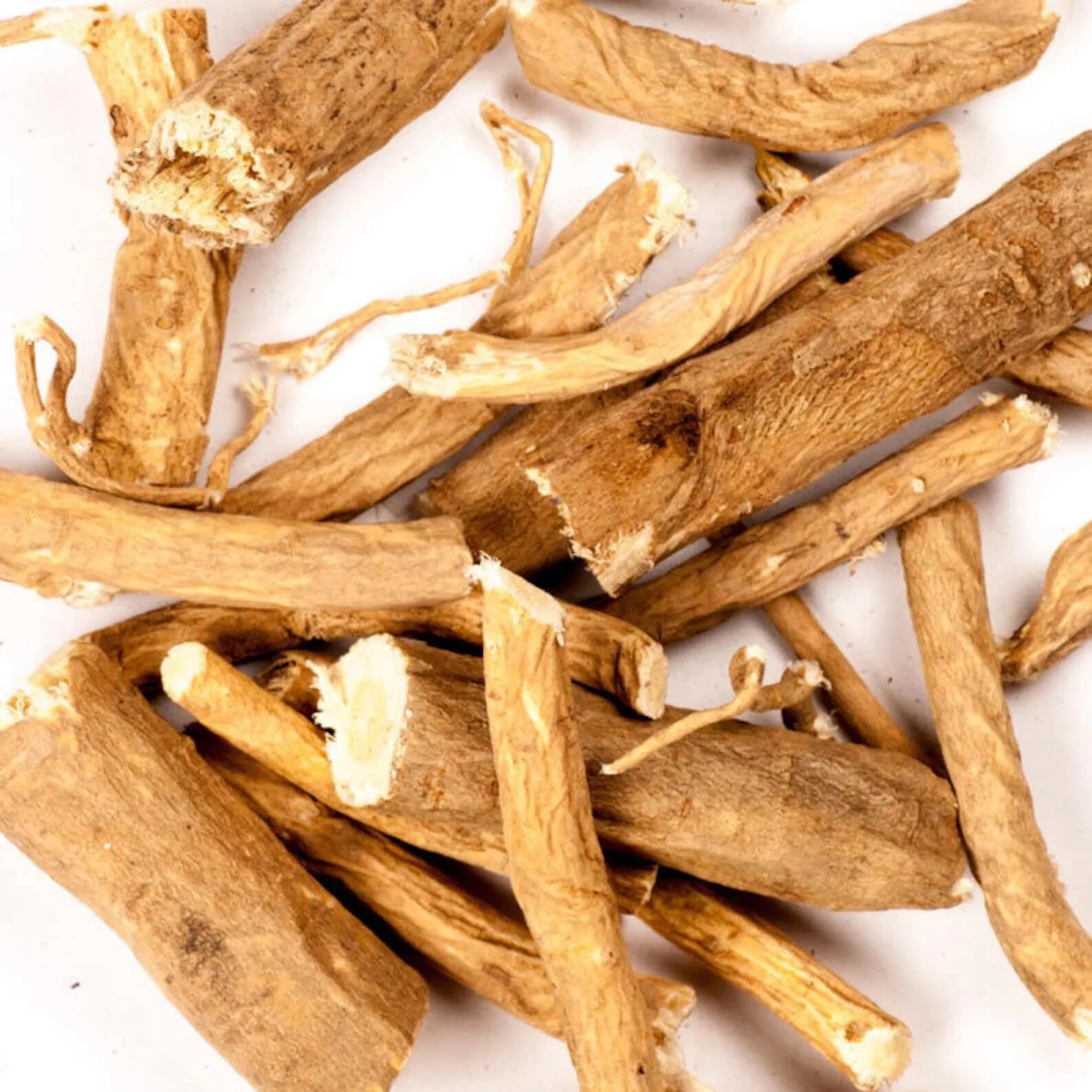 Scutellaria baicalensis root