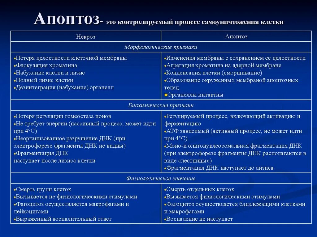 Изменения в 9 8