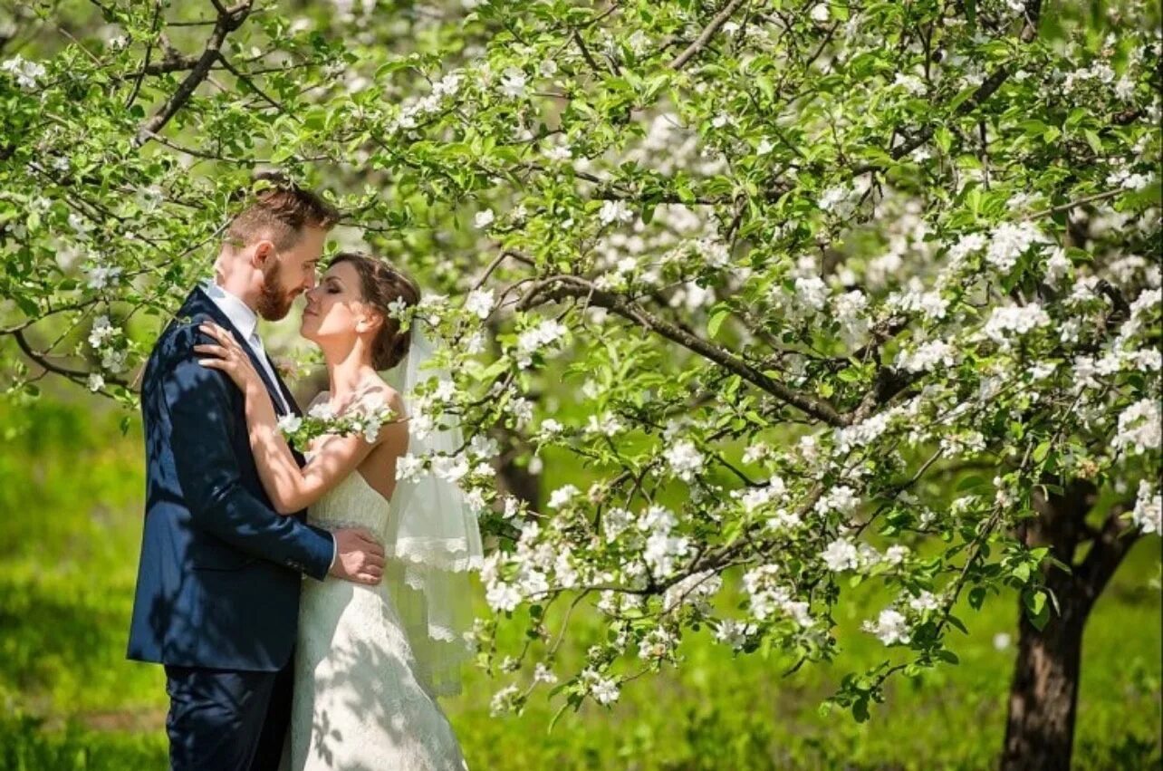 Пара яблонь. Свадьба в яблоневом саду. Свадьба в цветущем саду. Весенняя свадьба. Свадебные фотосессии летом.