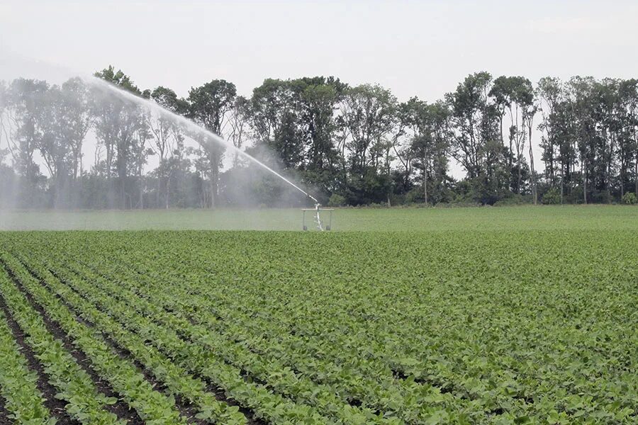 Дождевые машины в сельском хозяйстве. Тамшылап суару кезінде үнемделетін су көлемі. Тамшылап суару кезінде үнемделетін су көлемі. Оросительным системам valley. Тамшылап суару кезінде үнемделетін су көлемі.