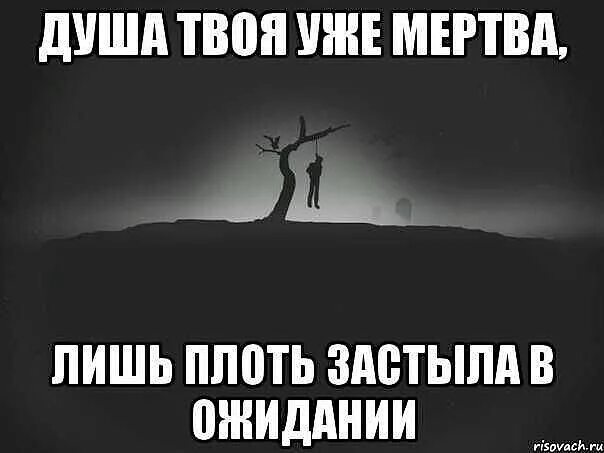 Ради плоть