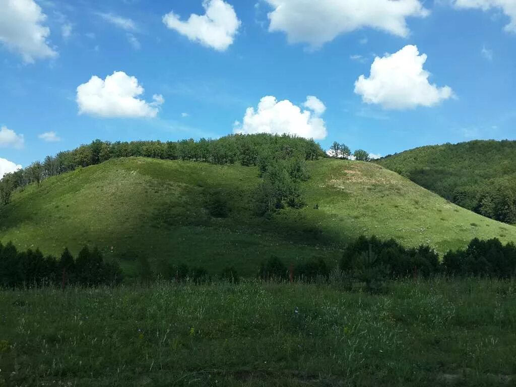 Холмы друг за другом. Гора Урсалтау Альметьевск. Горы Татарстана. Гора Чатыр Тау Татарстан. Горы Татарстана Альметьевский район.