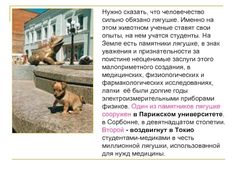 За что был поставлен. Сообщение о памятниках животных. памятники животным презентация. рассказ про памятник животному. каким животным были поставлены памятники.