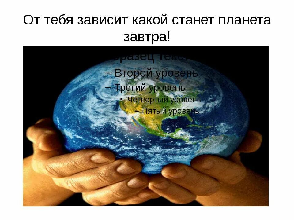 а. тест экология. цепи загрязнения окружающей среды 3 класс. экология тесты с ответами. экологическая безопасность конспект.