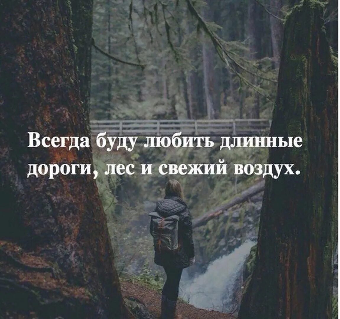 В лес я любил прих дить. Фразы про лес. высказывания о лесе. цитаты про лес. афоризмы про лес и природу.