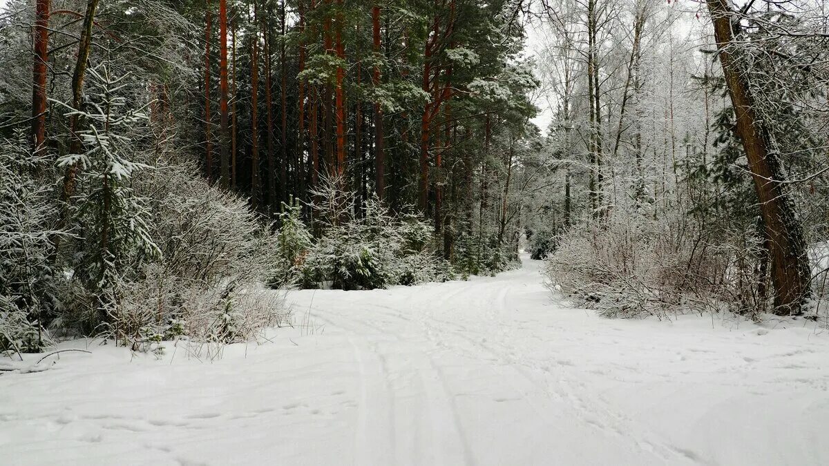 Пожарные тверь зима. Климат ивановской области. Река тюменка. Тверь юмор зима. Репортаж зимы.
