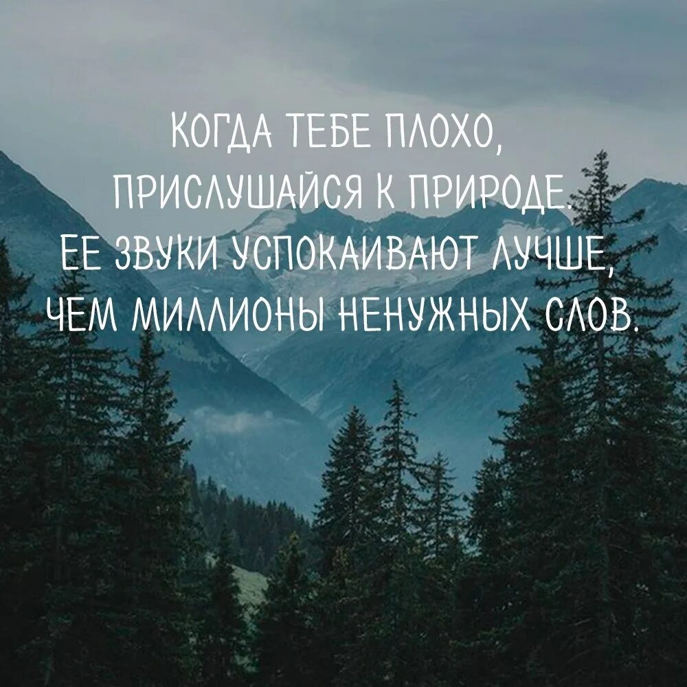 Цитаты про природу. Высказывания о природе. Лучшие цитаты о природе. Когда тебе плохо прислушайся к природе