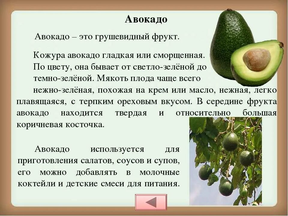 Авокадо это орех или ягода. Авокадо это фрукт или ягода. Авокадо это фрукт или овощ. Авокадо это фрукт или овощ или ягода. Авокадо это овощ или ягода.
