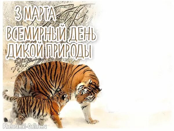 День дикой природы 22 февраля картинки. Всемирный день дикой природы. всемирный день дикой природы картинки. поздравления с днём дикой природы.