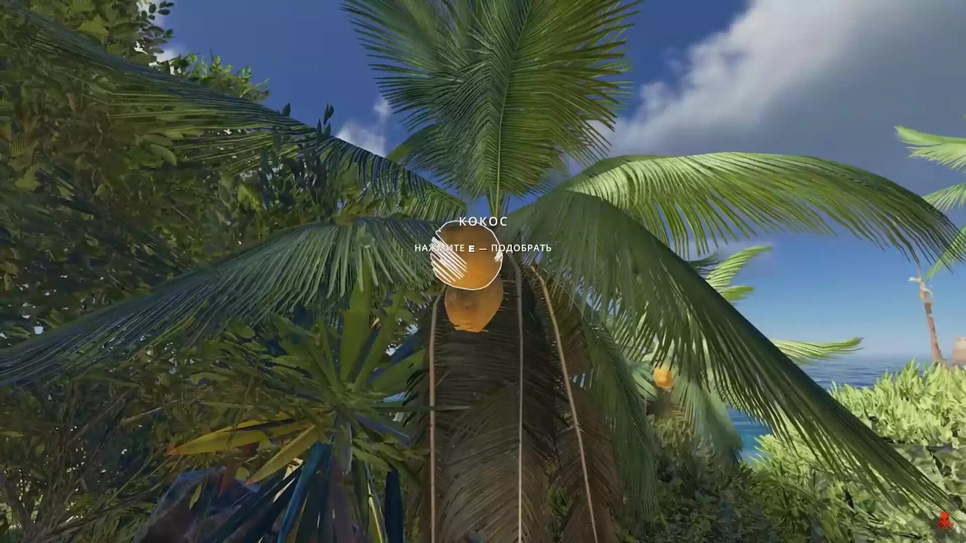 Stranded deep сосуд. Кокос. сосуд из кокоса stranded deep. игра кокосыф на ps. как сделать сосуд из кокоса в stranded deep.