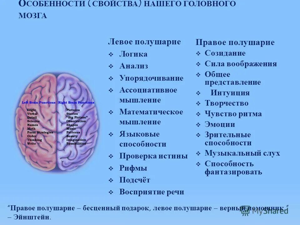 Правом полушарии. Левое и правое полушарие головного мозга. За что отвечает правое полушарие головного мозга. Левое полушарие головного мозга. Функции левого и правого полушария головного мозга.