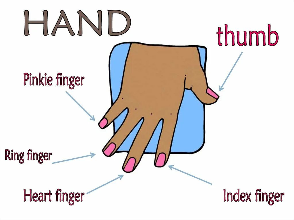 Presentation part. Презентация the human body. parts of the body презентация. parts of human body презентация. parts of the body презентация ppt.