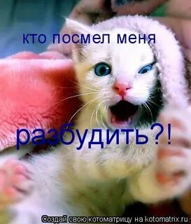 Не посмел я взять с нее
