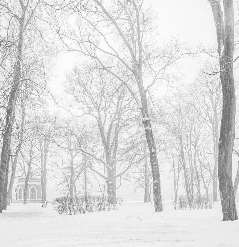 Снежная графика. Зимний пейзаж в графике. Снег графика. Пейзаж графическими материалами. Минимализм природа.