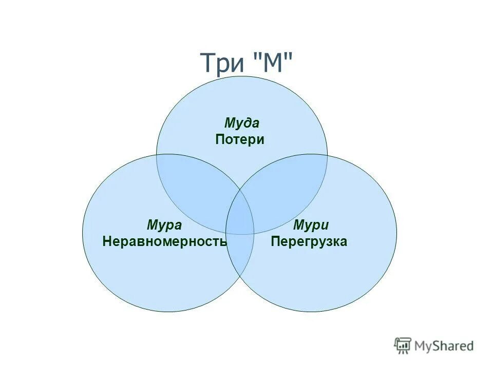 Мура мури бережливое производство. Новогодняя программа муром. Качества портрета ученика ib. Праздники в июле. Программы муру.