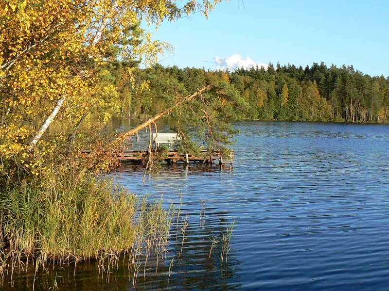 Озеро нижнее отзывы